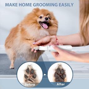 img 3 attached to Oneisall Dog Paw Trimmers: Cordless, Low Noise Clippers For Grooming Hair Around Paws, Eyes, Ears & Face