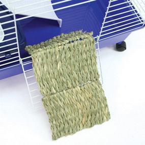 img 1 attached to 🐾 Handwoven Grass Multi-Use Pet Mat for Small Animals by Ware Manufacturing - Natural & Versatile