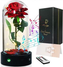img 4 attached to Birthday Gifts For Her, Enchanted Rose Beauty And The Beast Music Box, Red Silk Forever LED Rose In Glass Dome, Mothers Day Christmas Anniversary Flower Gifts For Women Wife Mom Girlfriend Grandma