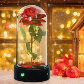 img 3 attached to Birthday Gifts For Her, Enchanted Rose Beauty And The Beast Music Box, Red Silk Forever LED Rose In Glass Dome, Mothers Day Christmas Anniversary Flower Gifts For Women Wife Mom Girlfriend Grandma