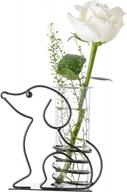 add a touch of green to your space with marbrasse desktop glass planter - lovely dog hydroponics vase logo