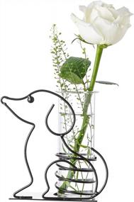 img 4 attached to Add A Touch Of Green To Your Space With Marbrasse Desktop Glass Planter - Lovely Dog Hydroponics Vase