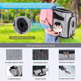 img 1 attached to 🐱 Siivton Cat Backpack Carrier - Airline Approved Expandable Pet Carrier Backpack for Small Dogs and Cats - Breathable Mesh, Inner Safety Strap, Elastic Back Cushions - Grey