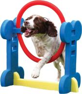 agility for small dogs at rosewood logo