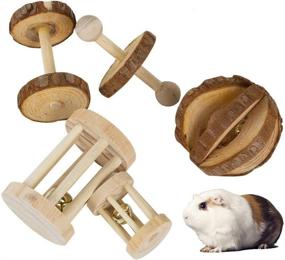 img 4 attached to JEMPET Hamster Chew Toys - Natural Wood for Gerbils, Rats, Chinchillas - Toy Accessories for Exercise, Molar Care, Teeth Health - Dumbbells, Bell Roller, Guinea Pig, Bunny Rabbits