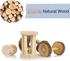 img 2 attached to JEMPET Hamster Chew Toys - Natural Wood for Gerbils, Rats, Chinchillas - Toy Accessories for Exercise, Molar Care, Teeth Health - Dumbbells, Bell Roller, Guinea Pig, Bunny Rabbits