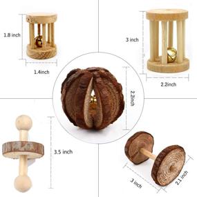 img 3 attached to JEMPET Hamster Chew Toys - Natural Wood for Gerbils, Rats, Chinchillas - Toy Accessories for Exercise, Molar Care, Teeth Health - Dumbbells, Bell Roller, Guinea Pig, Bunny Rabbits