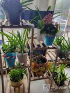 img 1 attached to Get Organized With A Multifunctional Plant Stand For Indoor And Outdoor Décor - Perfect For Every Room In Your Home! review by Ryan Yap