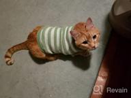 картинка 1 прикреплена к отзыву Soft And Warm Striped Sweater For Cats And Small Dogs - High Stretch, Perfect For Male And Female Kittens - Knitwear Pet Clothes от Chris Jens