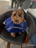 img 1 attached to Stay Stylish And Safe In The Rain With NINEMAX Dog Raincoat - Adjustable Pet Jacket With Reflective Strip For Medium To Large Dogs review by Jim Velasco