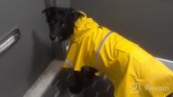 img 1 attached to 🐶 Protective Pet Gear: NINEMAX Dog Raincoat with Reflective Strip for Medium-Large Dogs review by Matt Wigfall