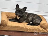 картинка 1 прикреплена к отзыву Furhaven Medium Orthopedic Dog Bed Comfy Couch Plush & Decor Sofa-Style W/ Removable Washable Cover - Diamond Gray, Medium от Stephen Cooper