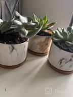 img 1 attached to Stylish And Practical Ceramic Succulent Planters With Drainage Tray - Set Of 4 By DeeCoo review by Bernard Larjin