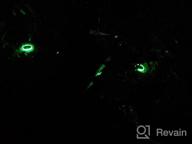 картинка 1 прикреплена к отзыву Наружные солнечные наземные фонари 6 Pack-водонепроницаемое ландшафтное освещение для садового двора, дорожки, лужайки, подъездной дорожки с датчиком влажности (черный) от Shane Loredo