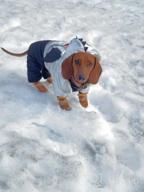 картинка 1 прикреплена к отзыву Dog Winter Warm Jacket Coat Hooded Jumpsuit Snowsuit Waterproof Pet Clothes XXL Grey от Cesar Cook