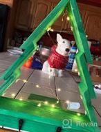 картинка 1 прикреплена к отзыву MUMUXI 10Ft 30 LED Battery Operated Fairy Lights [16 Pack] - Perfect White Elephant Gift For Adults, Weddings & Christmas Decorations! от Alex Barnes