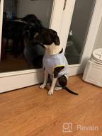 img 1 attached to IDOMIK Pet Recovery Suit: Perfect Solution For Post-Op Care Of Dogs & Cats review by Diana Mitchell