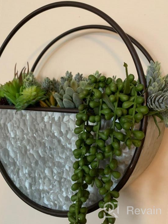 img 1 attached to Supla 14 Pcs Artificial Succulents Plants In Bulk Assorted Unpotted Hanging String Of Pearls Cactus Aloe Picks Small Fake Succulents For Wreath Centerpiece Floral Arrangement Indoor Outdoor Home Décor review by Dallas Grover