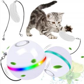 img 4 attached to Interactive Cat Toy Ball Kitten Toys W/Catnip, Bell & Feather For Indoor Cats - USB Rechargeable Automatic Self-Rotating With Colorful LED Light