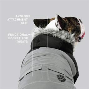 img 1 attached to 🐶 Canada Pooch True North Dog Parka: A Cozy & Stylish Jacket for Chilly Winter Dog Walks