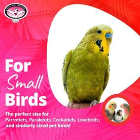 img 2 attached to 🐦 Super Bird Creations SB323 Small Bird Bungee Bird Toy - Fun & Entertaining Play Accessory for Small Birds, 1/2" diameter x 52