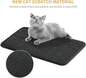 img 1 attached to Durable Cat Scratching Mat 23.6 x 12 inch – Protect Furniture, Carpets, and Sofas with Matdology's Black Cats Scratcher Pad!