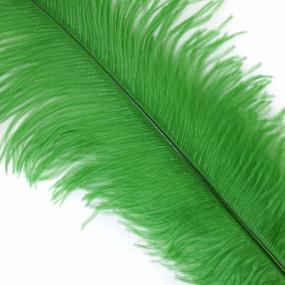 img 3 attached to Stunning Kelly Green Ostrich Feather Wedding Centerpiece Decor - ZUCKER 18-24 (46-61 Cm)