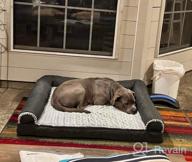 img 1 attached to Furhaven Large Orthopedic Dog Bed: Minky Plush & Suede Pillow Top Mattress With Removable Washable Cover, Ideal For French Roast Lovers - Large Size review by Austin Olson
