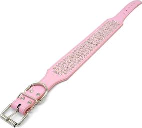 img 1 attached to Beirui Rhinestones Dog Collars Beautiful Dogs best on Training & Behavior Aids