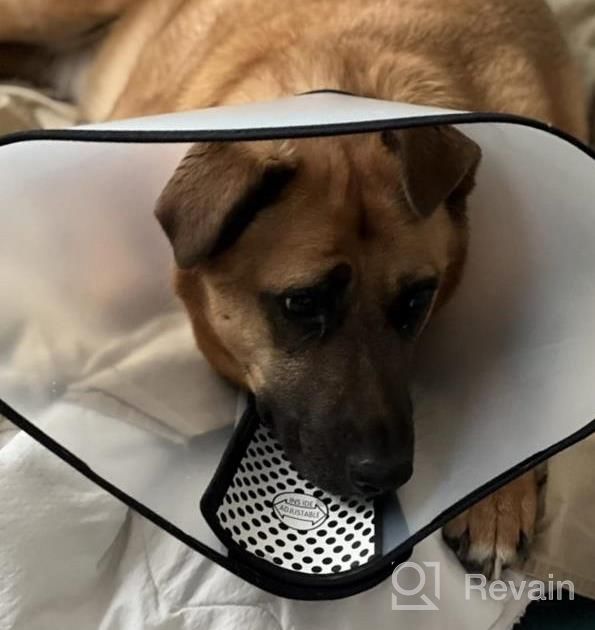img 1 attached to 3 PCS GLADOG Soft Dog Cone Collar - Except XL Size - Adjustable E-Collar For Large/Medium/Small Dogs & Cats After Surgery Recovery review by Stacey Williams