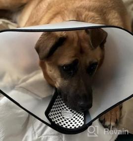 img 5 attached to 3 PCS GLADOG Soft Dog Cone Collar - Except XL Size - Adjustable E-Collar For Large/Medium/Small Dogs & Cats After Surgery Recovery