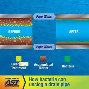 img 1 attached to 🚽 FLB Septic Tank Treatment - All Natural 1-Year Supply for Preventing Costly Septic System Repairs (12 Packets)