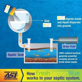 img 2 attached to 🚽 FLB Septic Tank Treatment - All Natural 1-Year Supply for Preventing Costly Septic System Repairs (12 Packets)