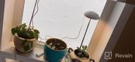 img 1 attached to Full Spectrum LED Grow Lights For Indoor Plants - POTEY 2 Heads, Height Adjustable With Auto On/Off Timer & 5 Dimmable Brightness Settings. review by Kevin Compton