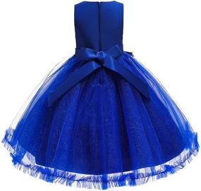 img 2 attached to Flower Princess Tulle Formal Pageant Girls' Clothing ~ Dresses