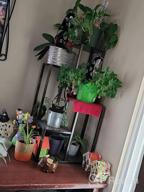 img 1 attached to 4-Tier Bamboo Plant Stand, Planter Pot Holder Shelf For Indoor Outdoor Flower Display Storage Rack, Heavy Duty Planter Shelving Unit review by Damon Atonyo