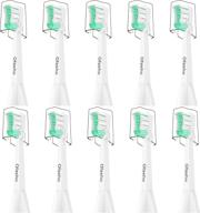 replacement toothbrush heads philips sonicare oral care ~ toothbrushes & accessories logo