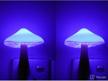 2pack sensor led night light plug in lamp magic mushroom nighlight cute night lights for adults kids bedroom logo