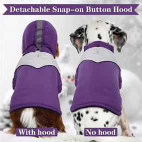 img 2 attached to 🐶 Kuoser Dog Winter Coat with Hood, Windproof & Snowproof, Pet Fleece Lined Warm Jacket, Reflective Puppy Thick Cold Weather Vest Outdoor Padded Clothes with Harness Hole for Small Medium Large Dogs