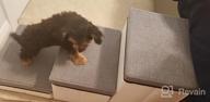 img 1 attached to Folding Pet Stairs For Small To Medium Dogs, 2-Steps, Holds Up To 50 Lbs - Blue review by Vanessa Szymanski