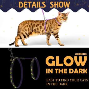 img 2 attached to 🐾 Adjustable PAWCHIE Cat Harness and Leash Set - Soft Escape Proof H-shaped Safety Strap with Glowing Golden Moon and Star Pattern for Outdoor Walking - Ideal for Pet Cats