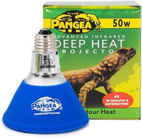 img 4 attached to 🔥 Pangea Deep Heat Projector Combo Pack for Reptiles (50)