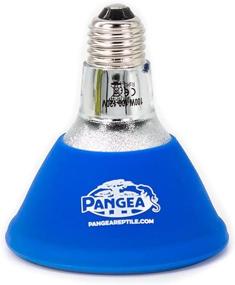 img 3 attached to 🔥 Pangea Deep Heat Projector Combo Pack for Reptiles (50)