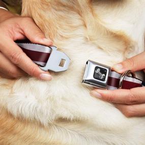 img 3 attached to Buckle Down Seatbelt Buckle Dog Collar Dogs ~ Training & Behavior Aids