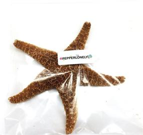img 1 attached to PEPPERLONELY Large Sugar Starfish Brown Fish & Aquatic Pets