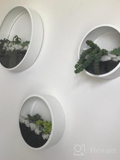 img 1 attached to Ecosides Round Indoor Wall Succulent Hanging Planter, Metal Decorative Freestanding Mount Holder With Glass For Air Plants, Faux Flower,Set Of 3 (White) review by Robert Ogrodnik