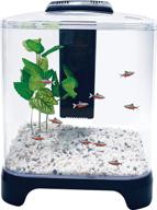 🐠 penn-plax nuwave betta fish tank kit - black - 1.5 gallon with led light and internal filter logo