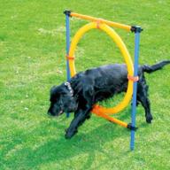 outdoor dog agility training equipment - pawise jump ring for dog exercise and play in the playground logo