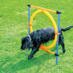 img 4 attached to Outdoor Dog Agility Training Equipment - PAWISE Jump Ring For Dog Exercise And Play In The Playground
