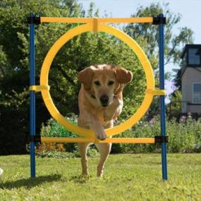 img 1 attached to Outdoor Dog Agility Training Equipment - PAWISE Jump Ring For Dog Exercise And Play In The Playground